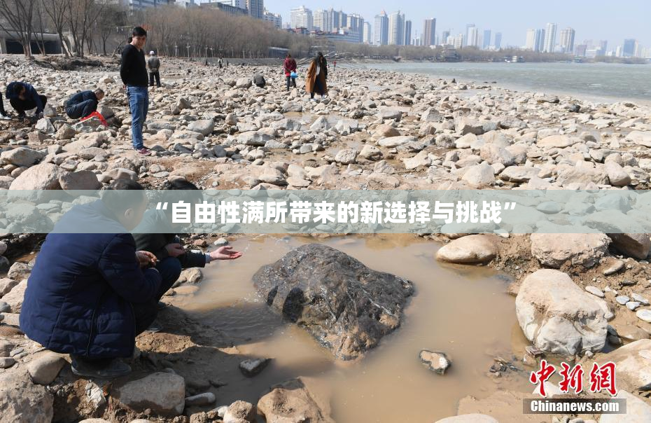 “自由性满所带来的新选择与挑战”