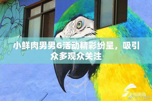 小鲜肉男男G活动精彩纷呈，吸引众多观众关注