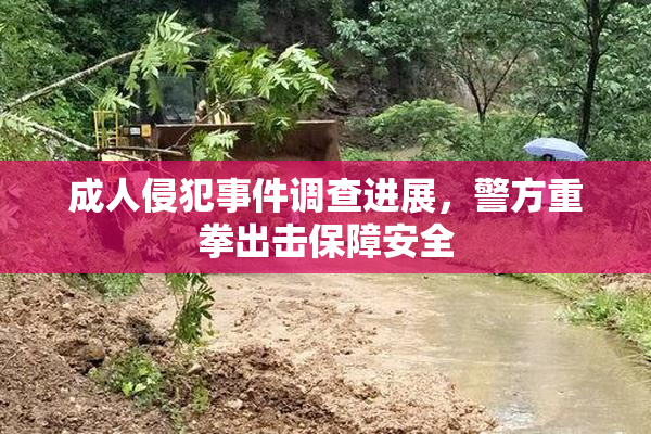 成人侵犯事件调查进展，警方重拳出击保障安全