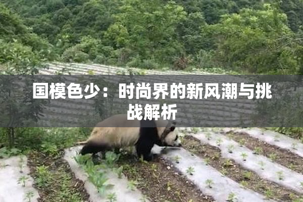 国模色少：时尚界的新风潮与挑战解析