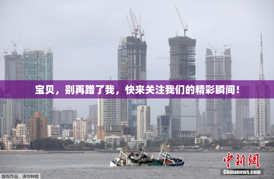宝贝，别再蹭了我，快来关注我们的精彩瞬间！