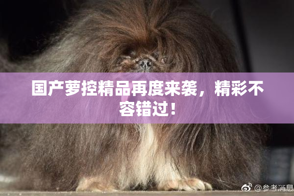 国产萝控精品再度来袭，精彩不容错过！