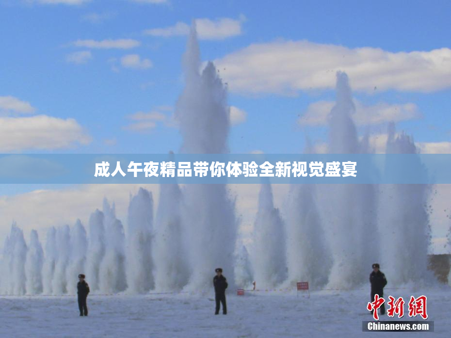 成人午夜精品带你体验全新视觉盛宴