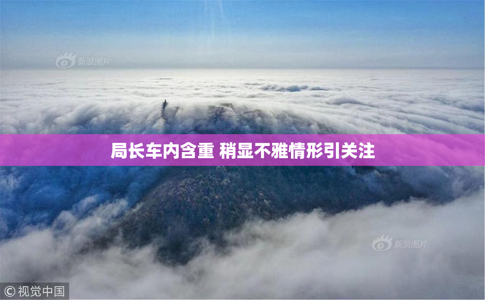 局长车内含重 稍显不雅情形引关注