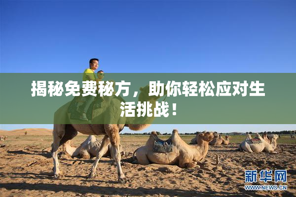 揭秘免费秘方，助你轻松应对生活挑战！