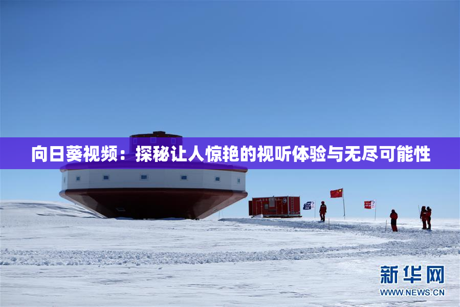 向日葵视频：探秘让人惊艳的视听体验与无尽可能性