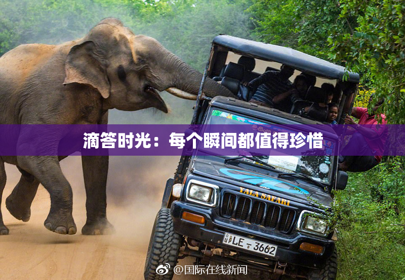 滴答时光：每个瞬间都值得珍惜