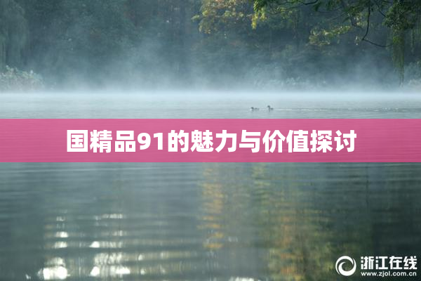 国精品91的魅力与价值探讨