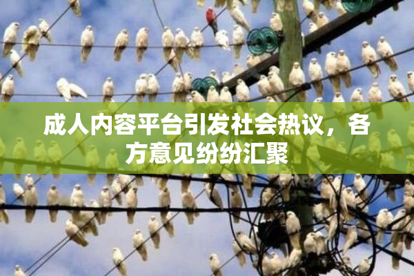 成人内容平台引发社会热议，各方意见纷纷汇聚