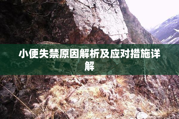 小便失禁原因解析及应对措施详解