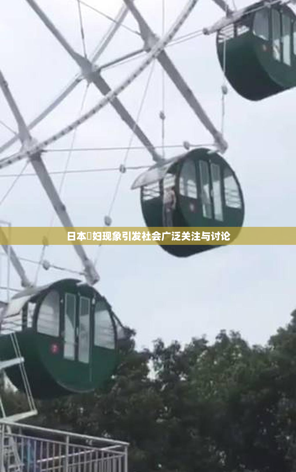 日本婬妇现象引发社会广泛关注与讨论