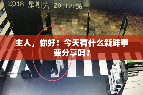 主人，你好！今天有什么新鲜事要分享吗？