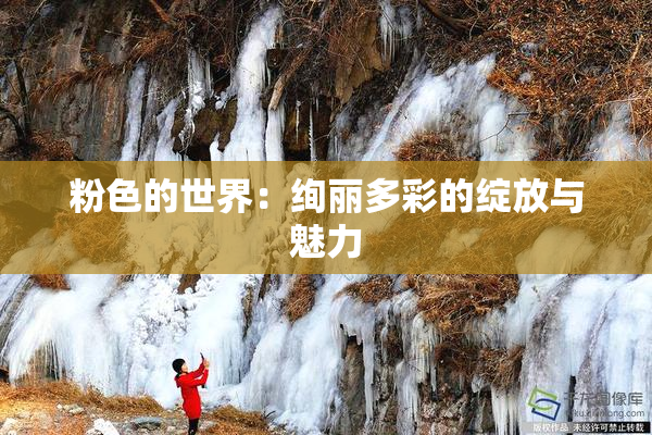 粉色的世界：绚丽多彩的绽放与魅力