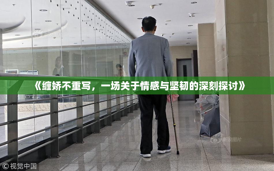 《缠娇不重写，一场关于情感与坚韧的深刻探讨》