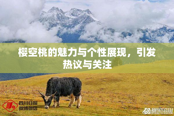樱空桃的魅力与个性展现，引发热议与关注