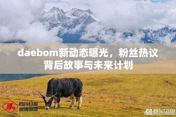 daebom新动态曝光，粉丝热议背后故事与未来计划