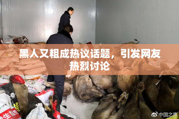 黑人又粗成热议话题，引发网友热烈讨论