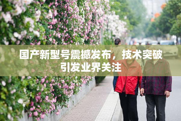 国产新型号震撼发布，技术突破引发业界关注