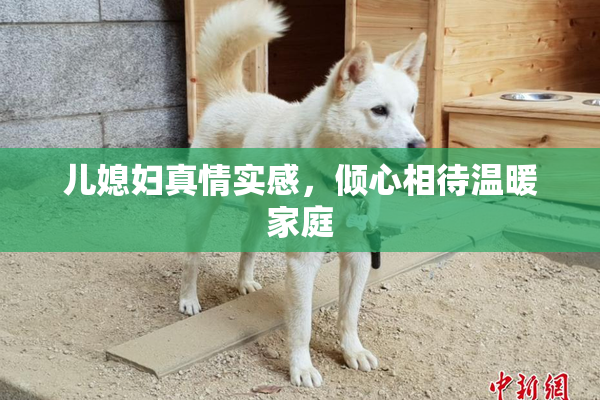 儿媳妇真情实感，倾心相待温暖家庭