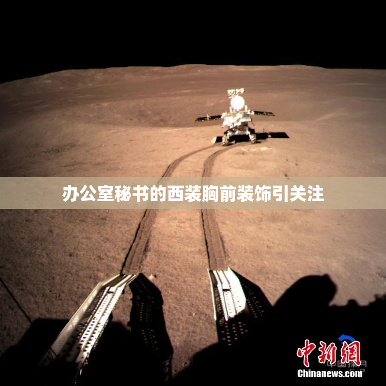 办公室秘书的西装胸前装饰引关注
