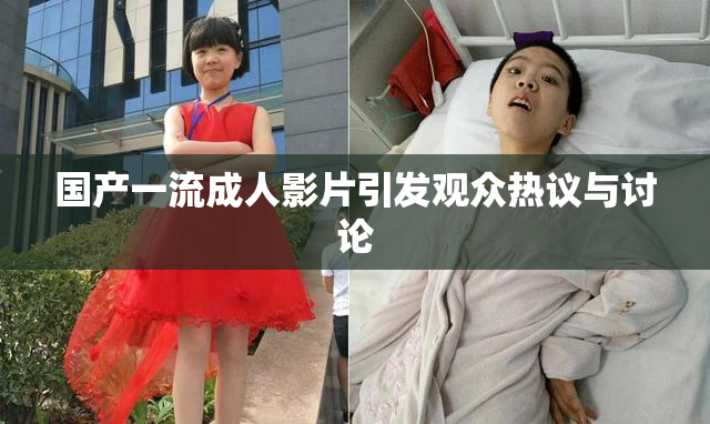 国产一流成人影片引发观众热议与讨论