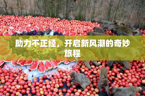 助力不正经，开启新风潮的奇妙旅程