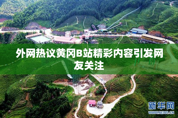 外网热议黄冈B站精彩内容引发网友关注