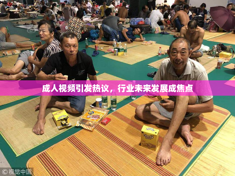 成人视频引发热议，行业未来发展成焦点