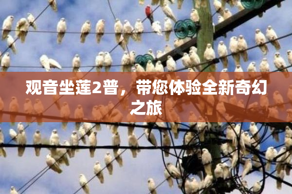 观音坐莲2普，带您体验全新奇幻之旅