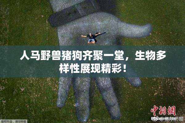 人马野兽猪狗齐聚一堂，生物多样性展现精彩！
