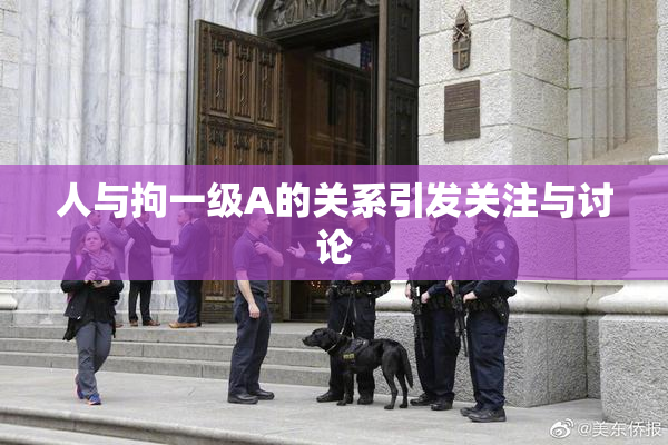 人与拘一级A的关系引发关注与讨论
