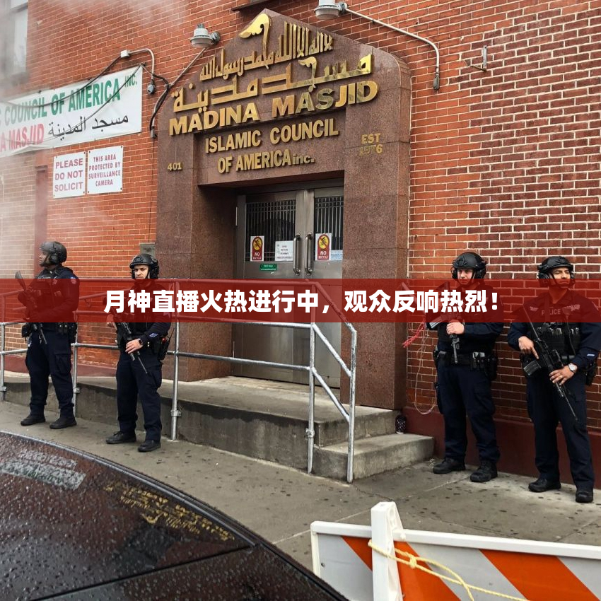 月神直播火热进行中，观众反响热烈！