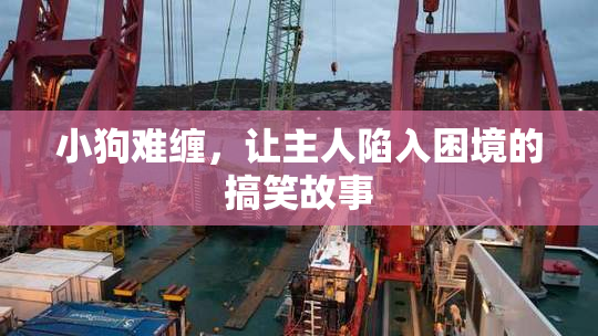 小狗难缠，让主人陷入困境的搞笑故事