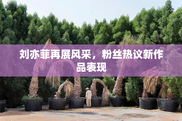 刘亦菲再展风采，粉丝热议新作品表现