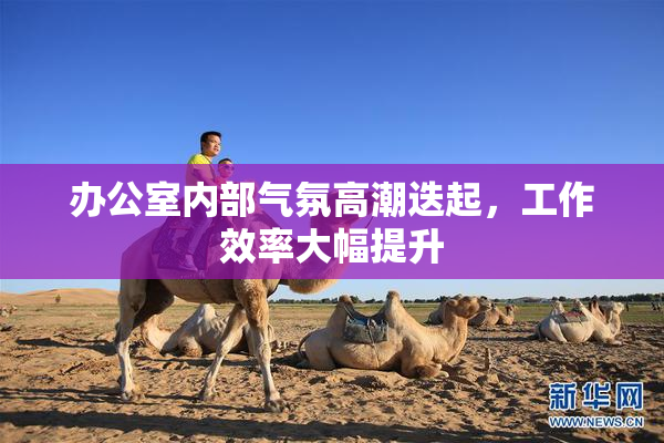 办公室内部气氛高潮迭起，工作效率大幅提升