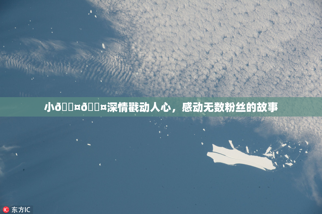 小🐤🐤深情戳动人心，感动无数粉丝的故事