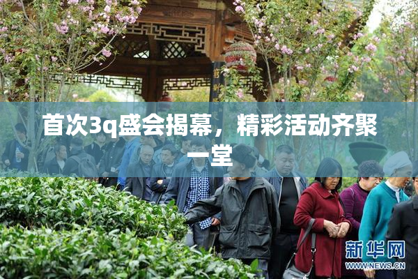 首次3q盛会揭幕，精彩活动齐聚一堂