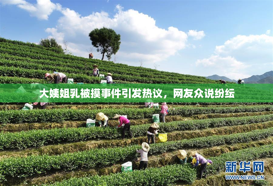 大姨姐乳被摸事件引发热议，网友众说纷纭