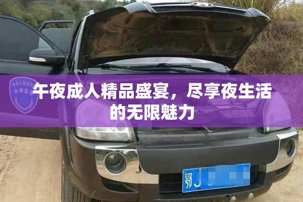 午夜成人精品盛宴，尽享夜生活的无限魅力