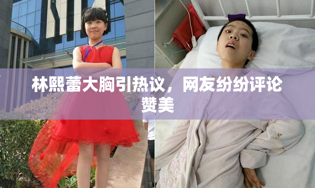 林熙蕾大胸引热议，网友纷纷评论赞美