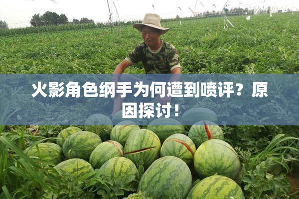 火影角色纲手为何遭到喷评？原因探讨！