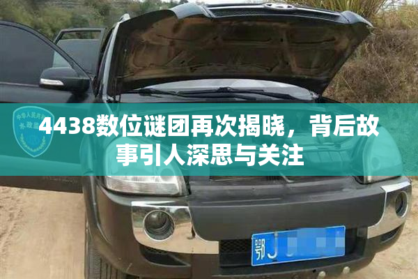 4438数位谜团再次揭晓，背后故事引人深思与关注