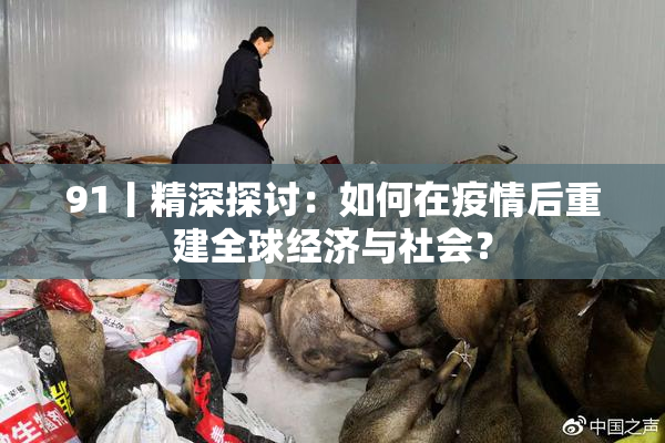 91丨精深探讨：如何在疫情后重建全球经济与社会？
