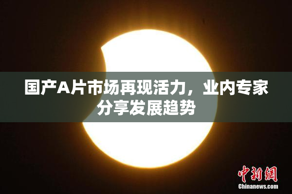 国产A片市场再现活力，业内专家分享发展趋势