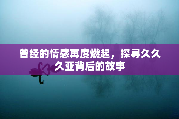 曾经的情感再度燃起，探寻久久久亚背后的故事