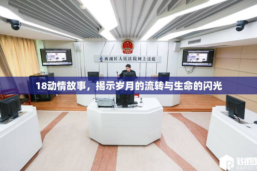 18动情故事，揭示岁月的流转与生命的闪光