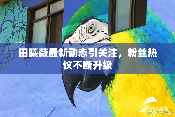 田曦薇最新动态引关注，粉丝热议不断升级