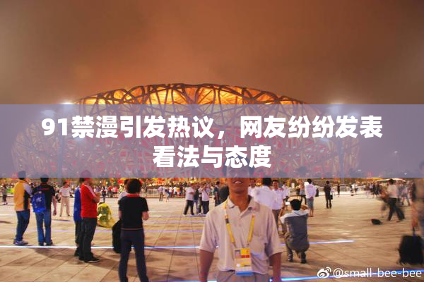 91禁漫引发热议，网友纷纷发表看法与态度