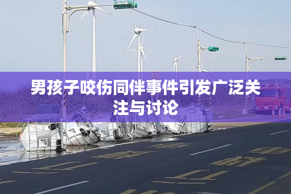 男孩子咬伤同伴事件引发广泛关注与讨论