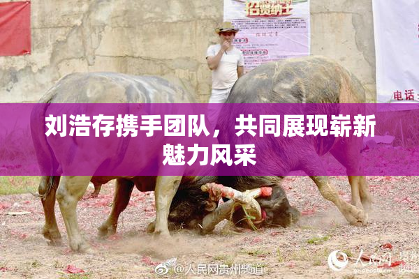刘浩存携手团队，共同展现崭新魅力风采
